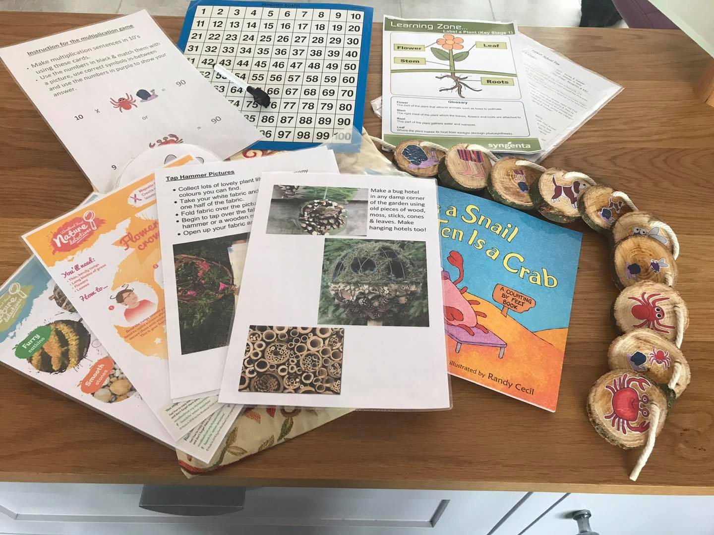 Wrekin Forest School lesson planning